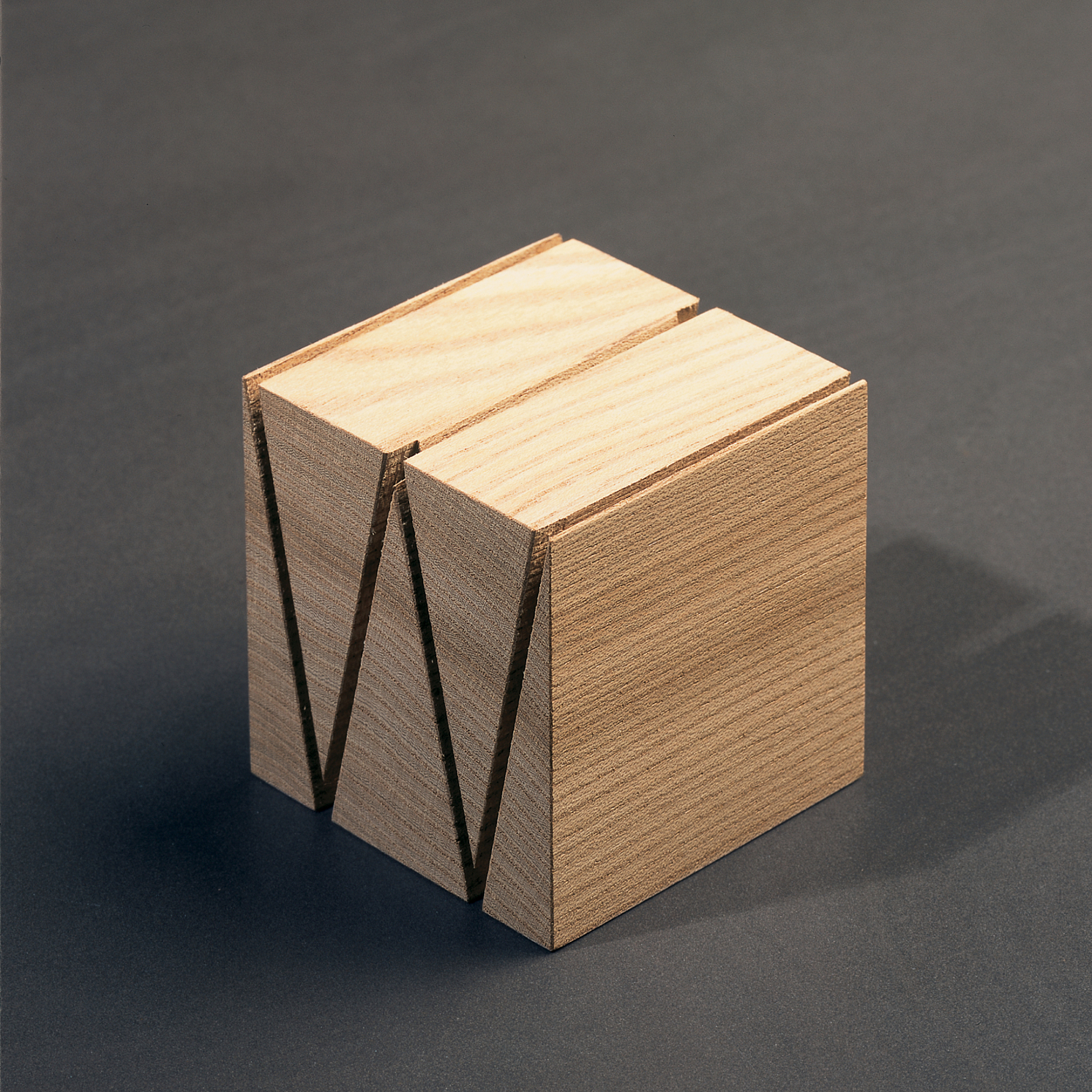 030 kms team wiedemann werkstaetten 3dlogo 1 1