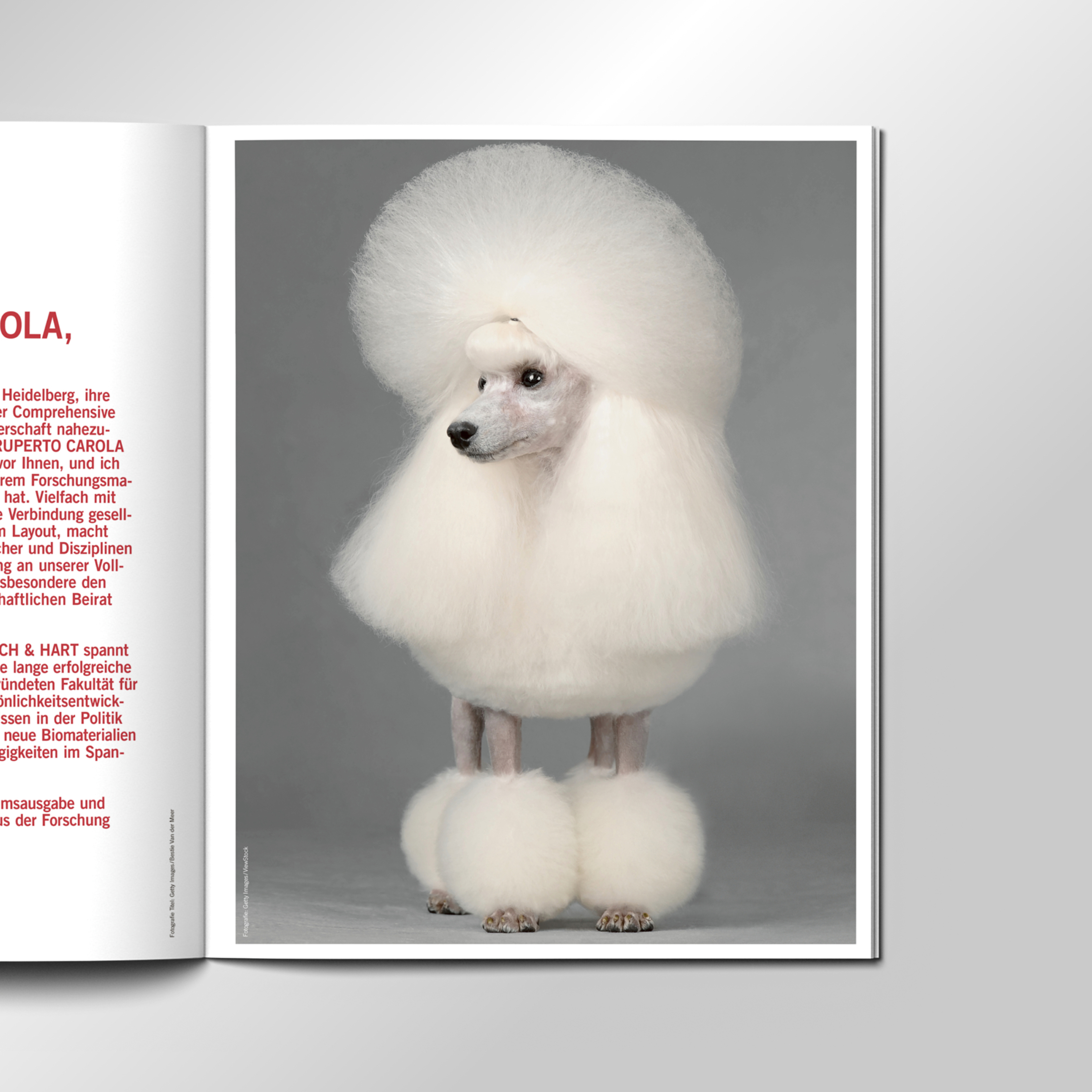 T kms team Uni Heidelberg Magazin20 tesaer slide1 1 2