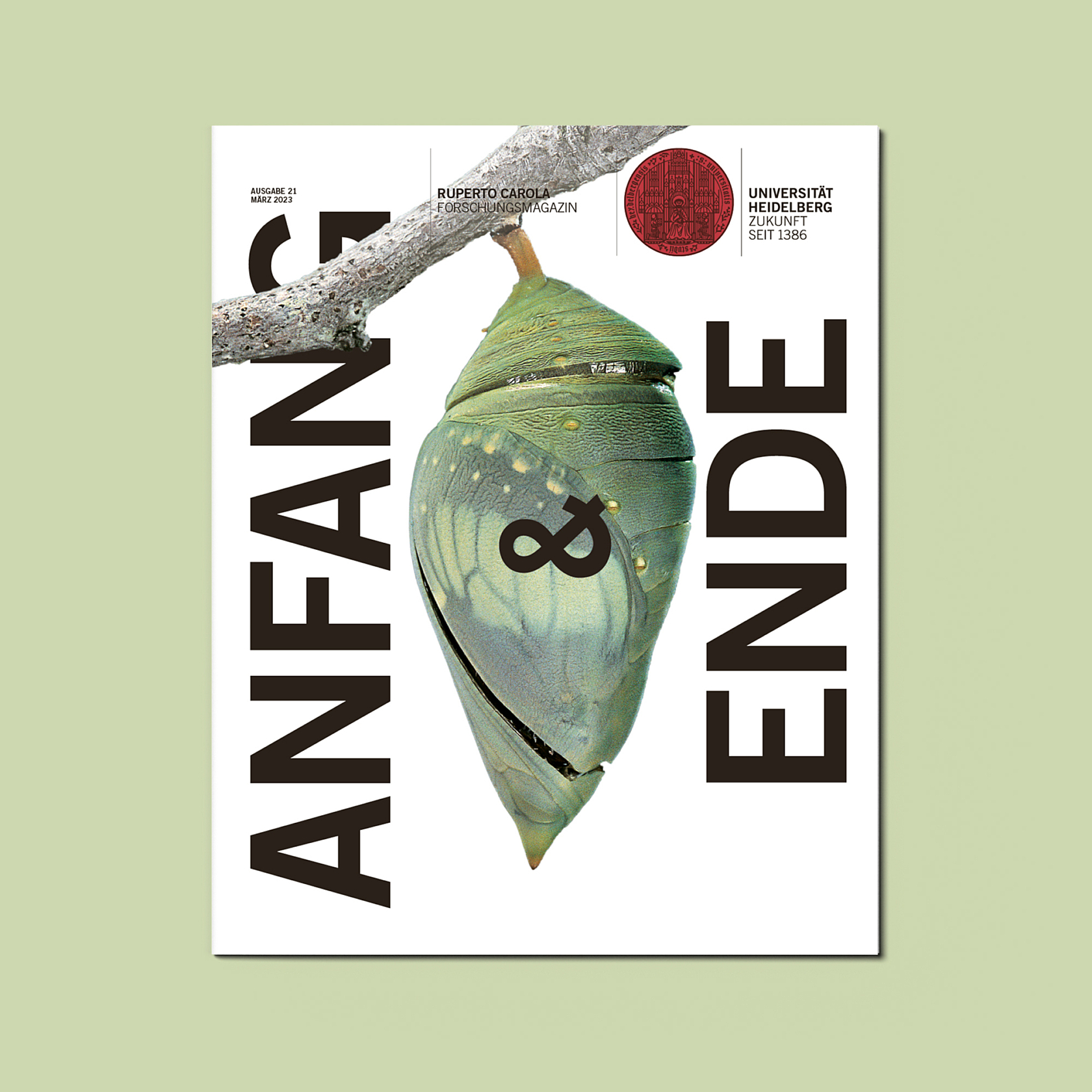 T kms team Mag21 tesaer slide1 1 1